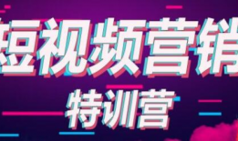 短视频训练营课程,打造爆款内容，轻松吸粉涨粉攻略